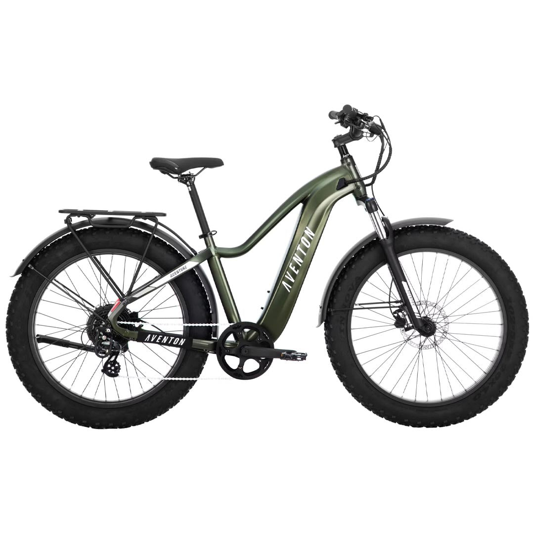 Electric Bikes