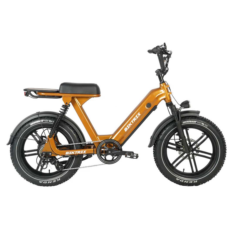 Biktrix Challenger 2