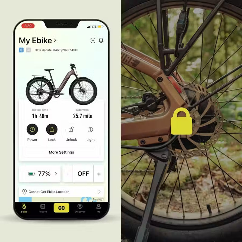 Integrated Rear wheel lock