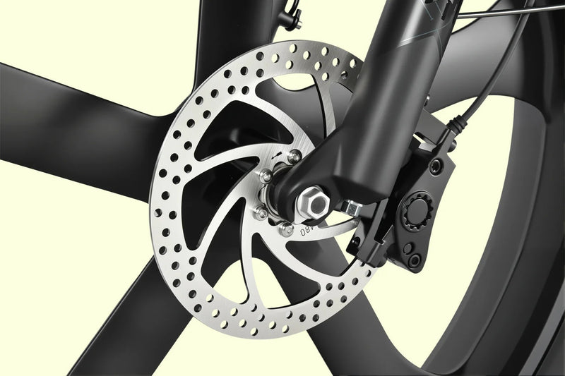 Dual-Piston Hydraulic Brake