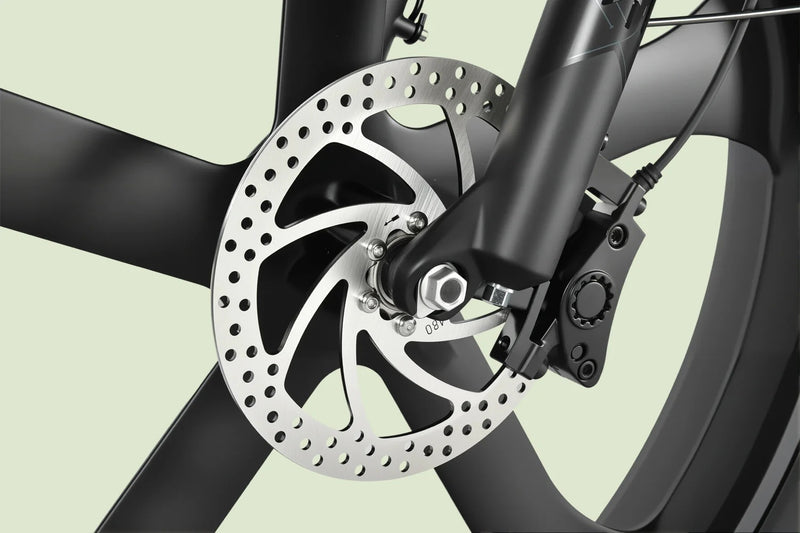 Dual Piston Hydraulic Brakes