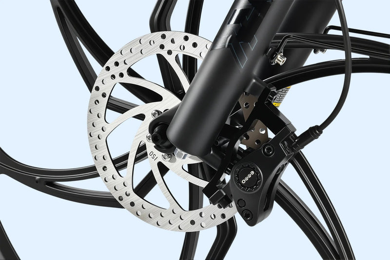 Dual-Piston Hydraulic Brake