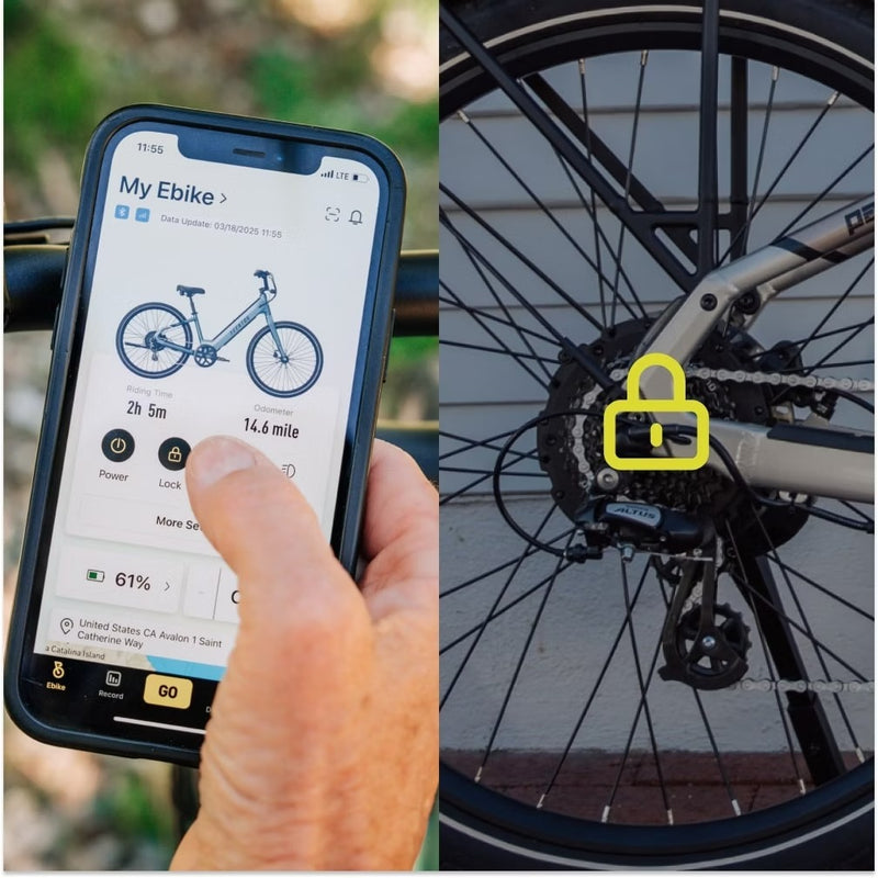 Integrated Rear Wheel Lock