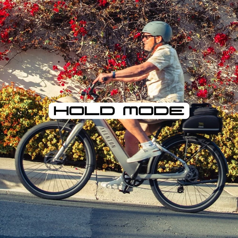 Hold Mode