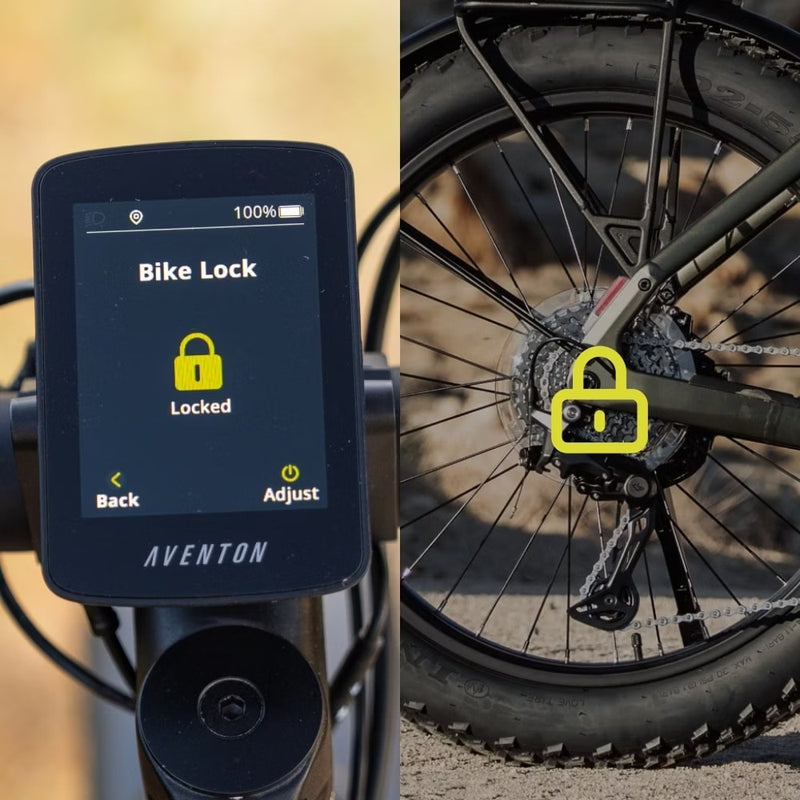 Theft Deterrence / Startup Password / GPS