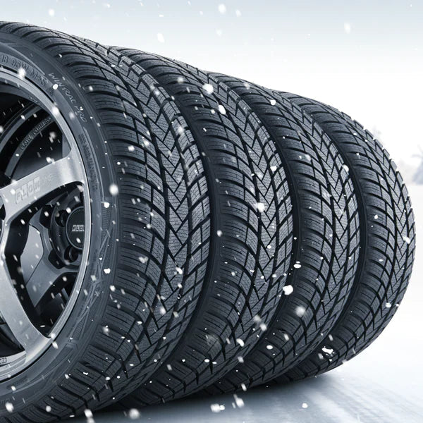 Winter Tire & Rim Package