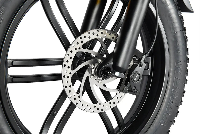 Dual-Piston Hydraulic Brake