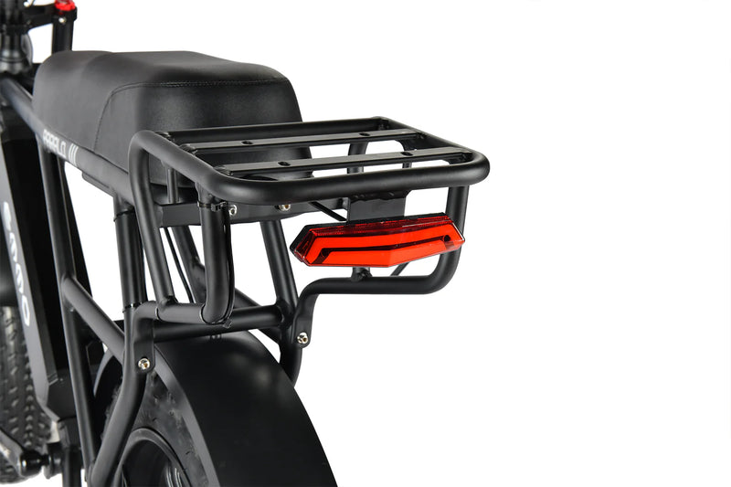 Rear Carrying Rack with LED Taillight