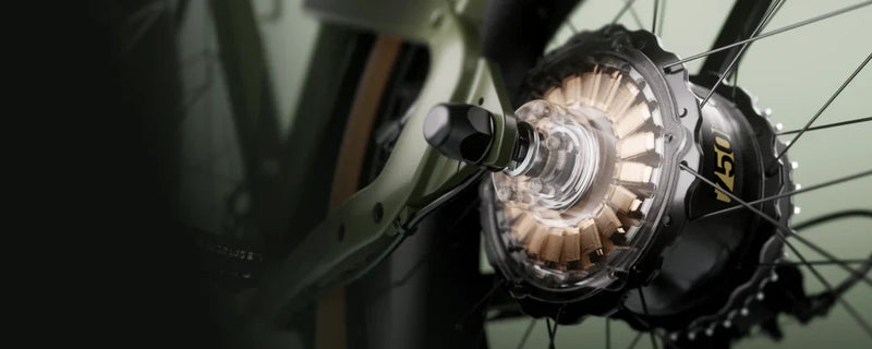  750W Motor 1300W Peak Power 85Nm Torque