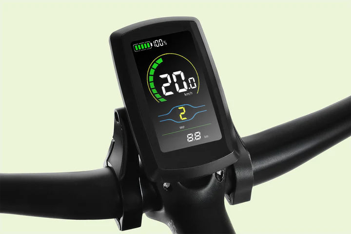 Color Display with Ride Stats