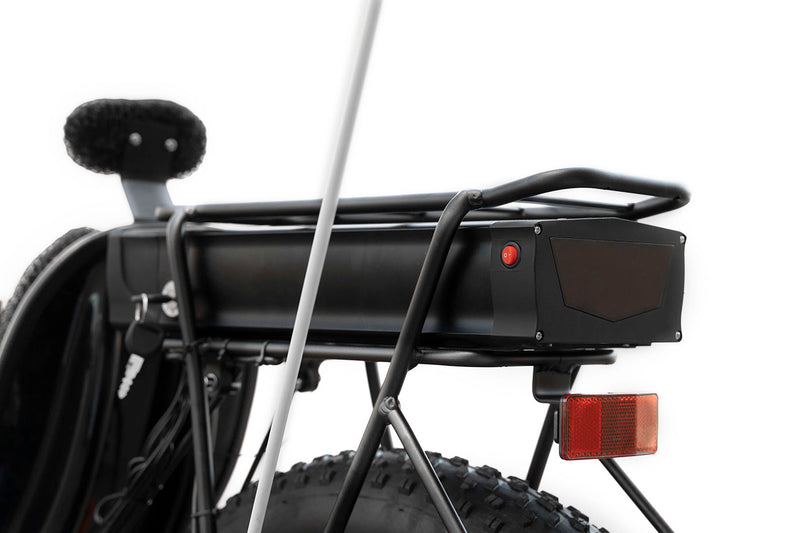 Daymak Recumbent FT