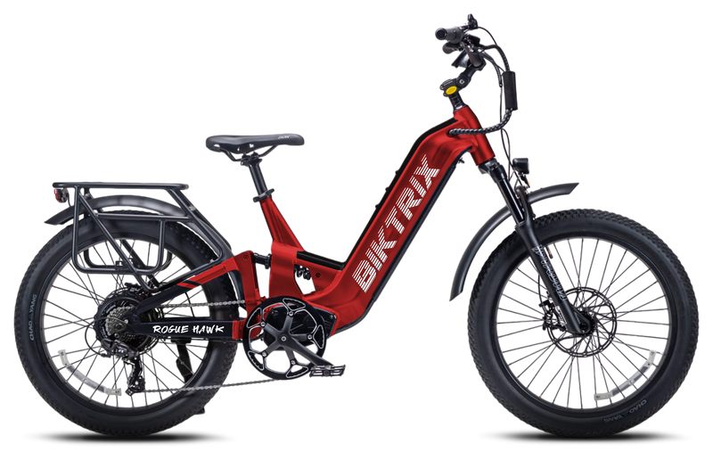 Biktrix RogueHawk FS ST 2 | 70V