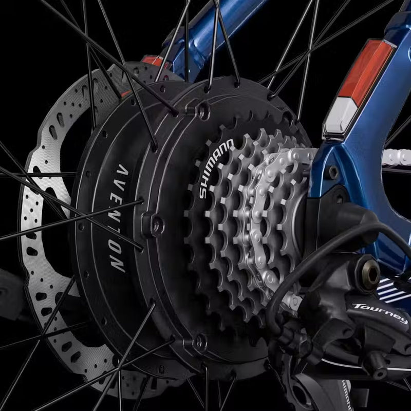 Hub Motor & Battery