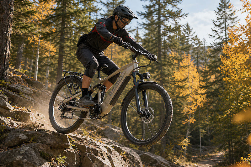Emmo Spurt Max 29" Full Suspension Ebike