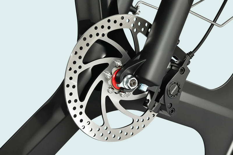 Dual-Piston Hydraulic Brake