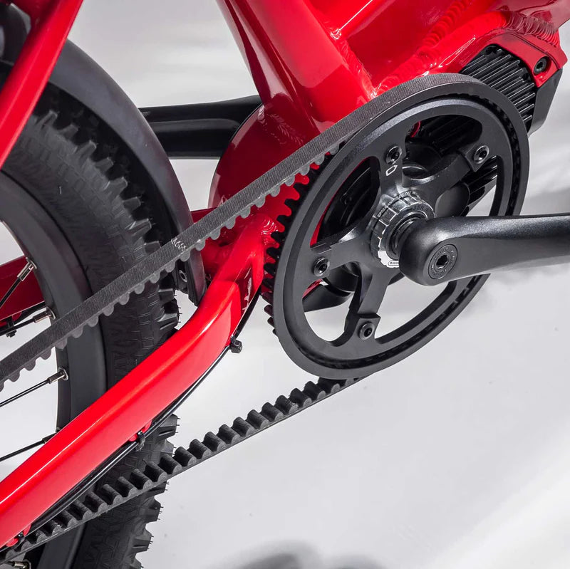 Carbon Belt Drive
