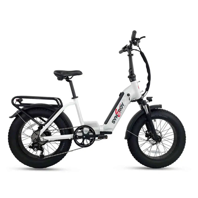 SYNERGY STEP V2 - derandmotorsports